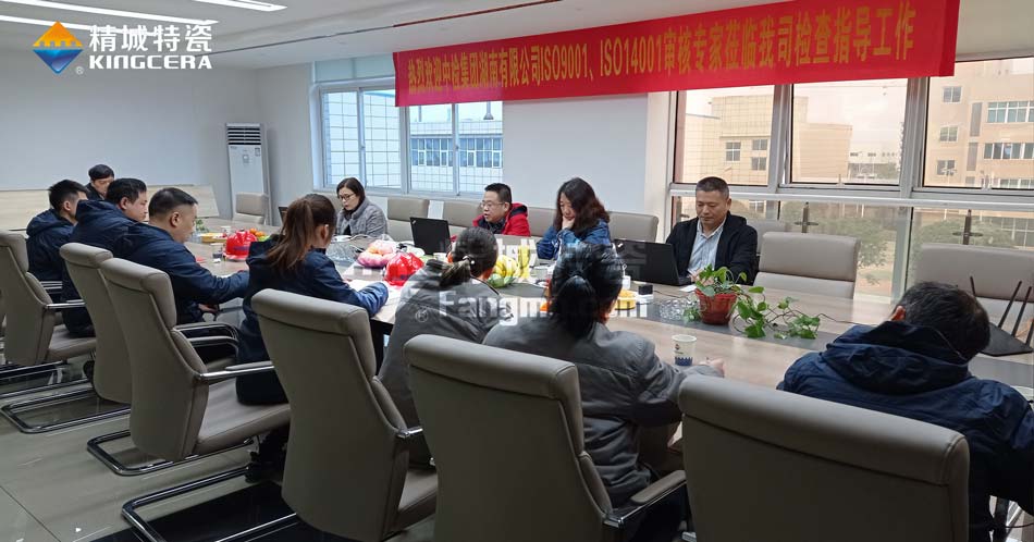 Z6人生就是博特瓷ISO14001环境管理体系认证评估审核