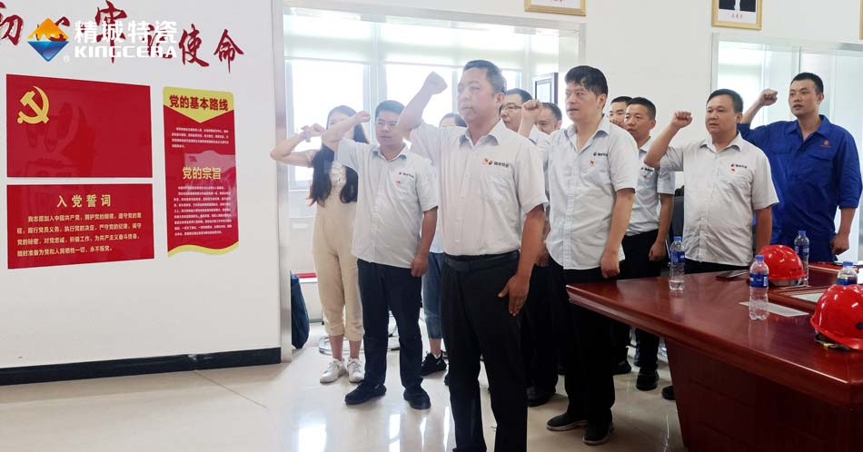 Z6人生就是博特瓷党支部组织观看庆祝中国共产党成立100周年大会现场直播