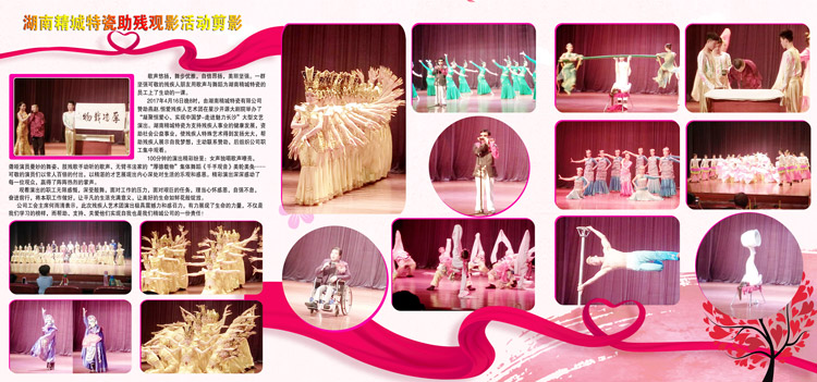 湖南Z6人生就是博赞助燕赵·恒爱残疾人艺术团圆满演出